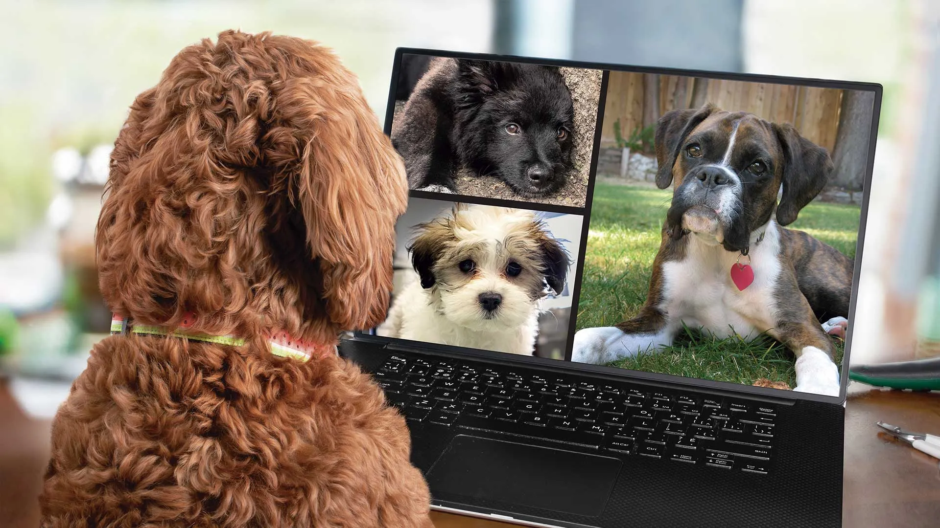 Virtual Group Classes